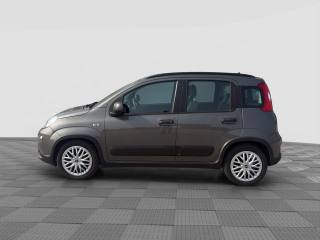 FIAT Panda usata 1