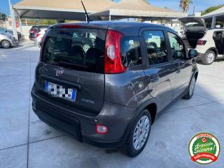 FIAT Panda usata, con Climatizzatore