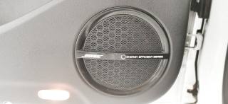 RENAULT Scenic usata 57