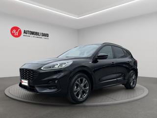 FORD Kuga 1.5 EcoBlue 120 CV aut. ST-Line B&O SOUND