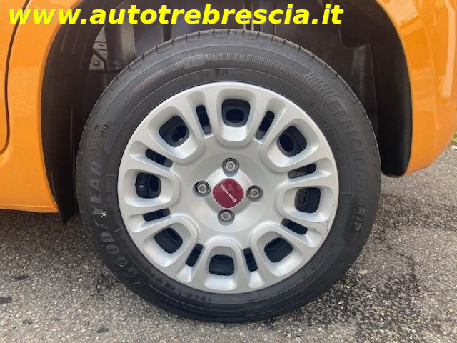 FIAT Panda usata 14