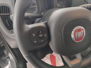 FIAT Panda usata, con Airbag testa