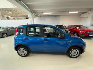 FIAT Panda usata, con Alzacristalli elettrici
