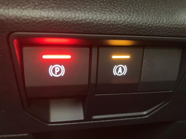 RENAULT Austral usata 29