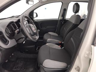 FIAT Panda usata, con Immobilizzatore elettronico