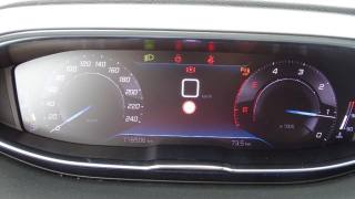 PEUGEOT 5008 usata 100