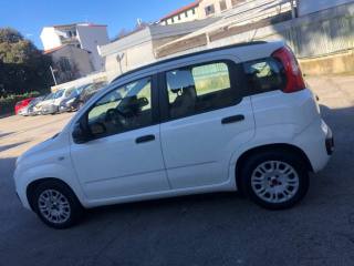 FIAT Panda usata, con Airbag testa