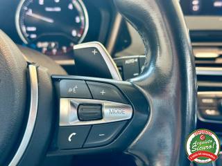 BMW X1 usata, con Sistema di navigazione