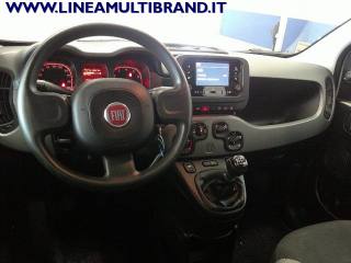 FIAT Panda usata, con Fendinebbia