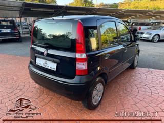 FIAT Panda usata, con Cronologia tagliandi