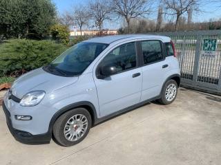 FIAT Panda usata, con Airbag Passeggero
