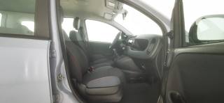 FIAT Panda usata 38