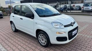 FIAT New Panda usata, con Airbag laterali