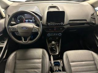 FORD EcoSport usata, con Cronologia tagliandi