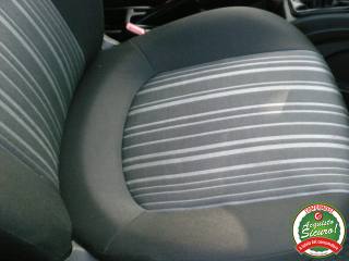 FIAT Punto usata 12