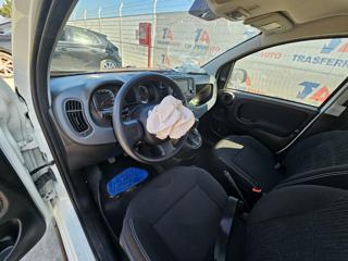 FIAT Panda usata, con Controllo trazione