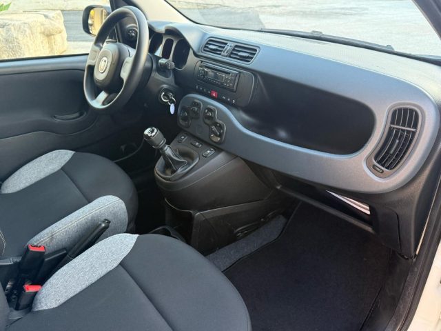 FIAT Panda usata 12
