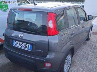 FIAT Panda usata, con Antifurto