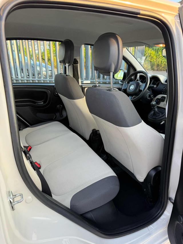 FIAT Panda usata 12