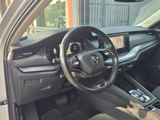 SKODA Octavia usata 93
