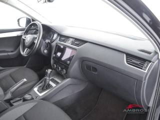 SKODA Octavia usata 11