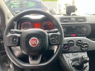 FIAT Panda usata, con Climatizzatore
