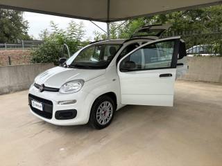 FIAT Panda usata, con Airbag testa