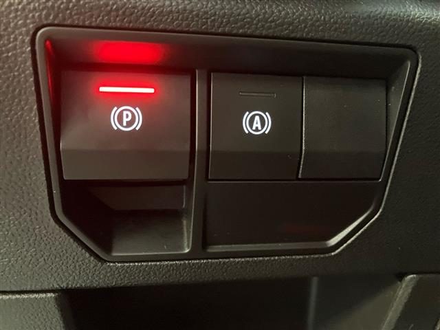 RENAULT Austral usata 29