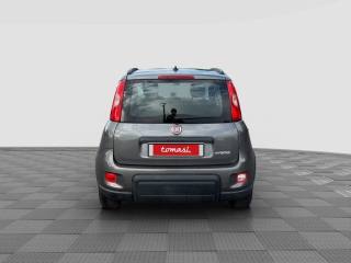 FIAT Panda usata 3