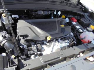 JEEP Renegade usata 44