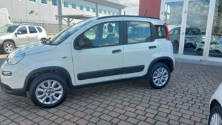 FIAT Panda usata, con Airbag