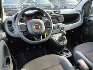 FIAT Panda usata, con Boardcomputer