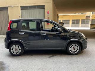 FIAT Panda usata, con Alzacristalli elettrici
