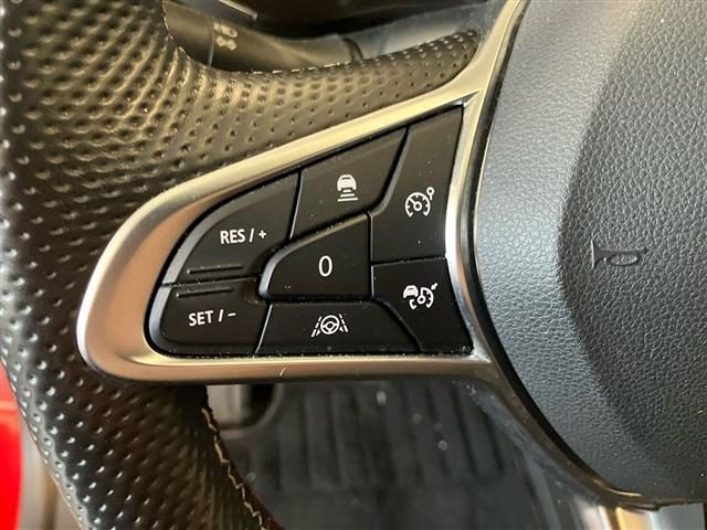 RENAULT Arkana usata 22