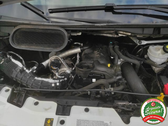 FORD Transit usata 14