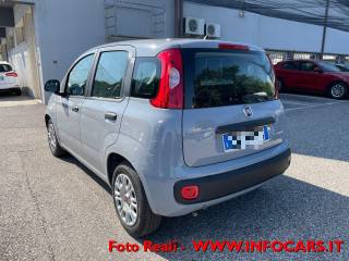 FIAT Panda usata, con Alzacristalli elettrici