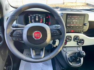 FIAT Panda usata, con Servosterzo