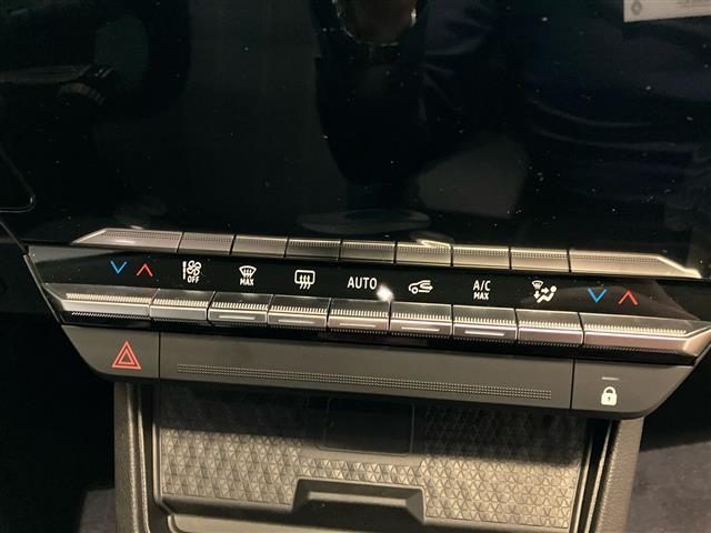 RENAULT Scenic usata 23