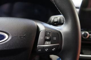 FORD Puma usata, con Specchietti laterali elettrici