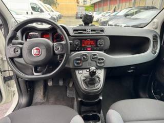 FIAT Panda usata, con Controllo trazione