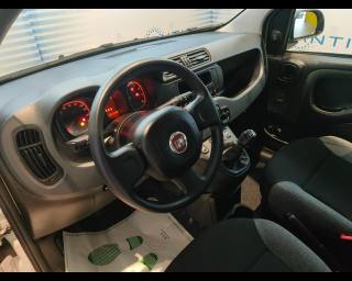 FIAT New Panda usata, con Controllo automatico clima