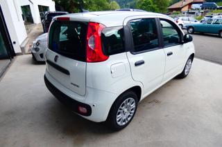 FIAT Panda usata, con Autoradio