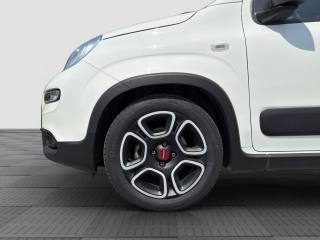 FIAT Panda usata 15
