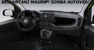 FIAT Panda usata, con Antifurto