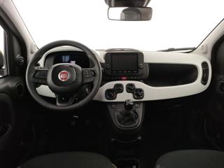FIAT Panda Cross usata, con Controllo trazione