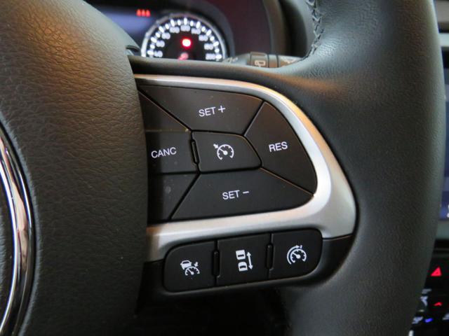 JEEP Renegade usata, con Cruise Control