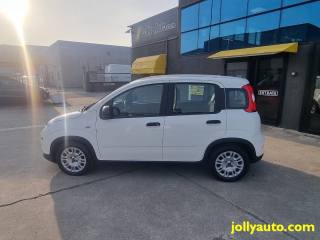 FIAT Panda usata, con Chiusura centralizzata