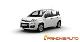 FIAT Panda usata, con Climatizzatore