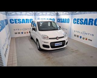 FIAT New Panda 1.0 hybrid 70cv 5 posti