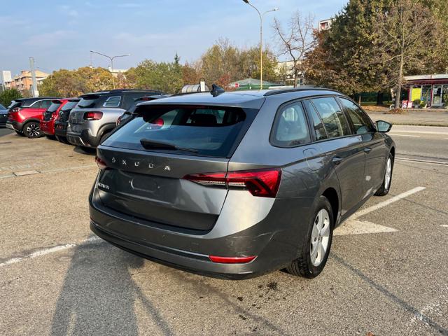 SKODA Octavia usata, con Fendinebbia